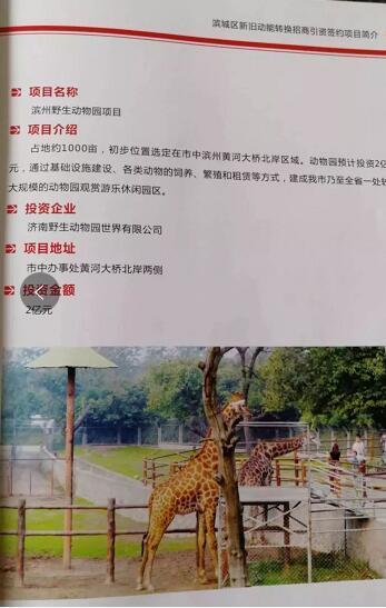 厲害了我的大濱州，15個招商引資項目集中簽約！